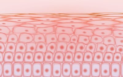 Palmitoyl Tripeptide-5 (Syn-Coll) Peptide: Research in Skin Cell Proliferation and Rejuvenation