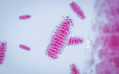 SS-31 Peptide: Research in Mitochondrial Functionality