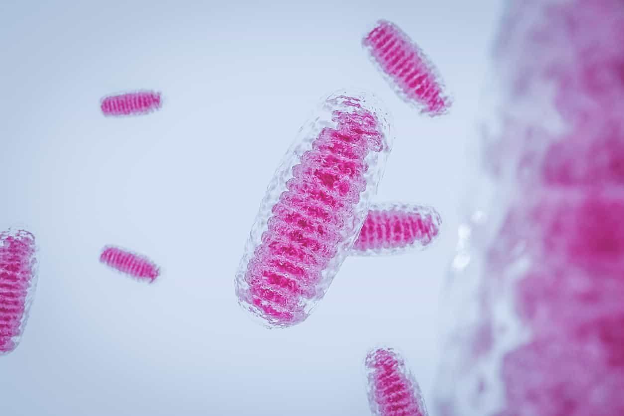 SS-31 Peptide Research in Mitochondrial Functionality