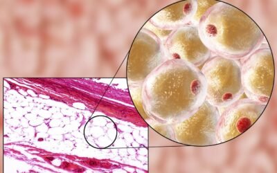 AOD 9604 Peptide: Research in Lipolysis, Cell Regeneration, and Cancer