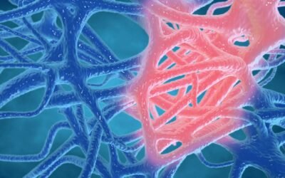 Exploring KPV Peptide and Inflammation