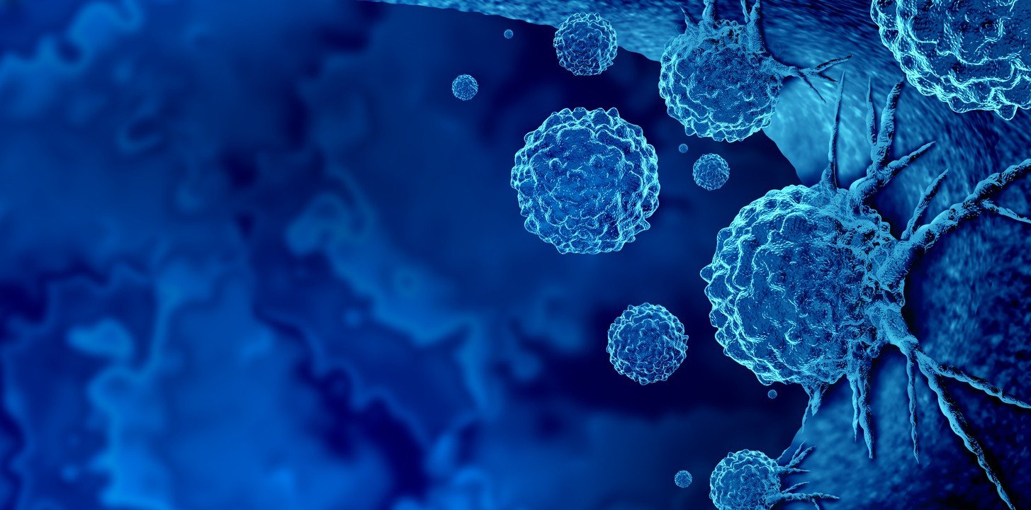 Vilon Peptide: Research Into Immune Cell Proliferation, Differentiation, and Regulation