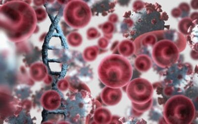 Receptor Grade IGF-1 LR3 Peptide and Cellular Anabolism