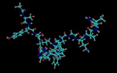 Melanotan II Interactions with Melanocortin Receptors