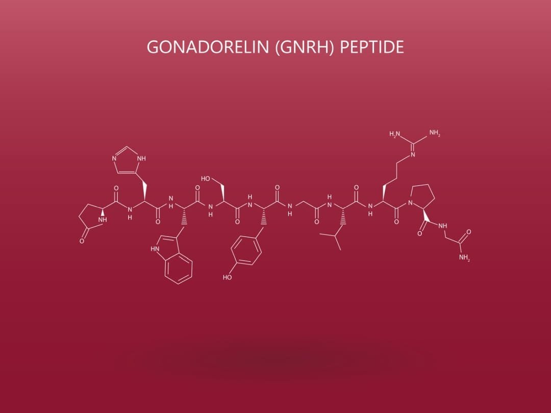 Gonadorelin’s Potential Interactions With The Hypothalamic-Pituitary-Gonadal Axis