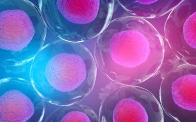 TB-500 & BPC-157 Blend Potential into Tissue-Regeneration Processes