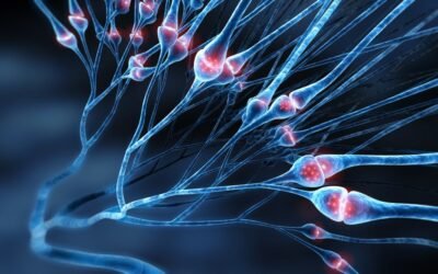 Selank Peptide: Potential Support for Neurotransmitters and Neurotrophins