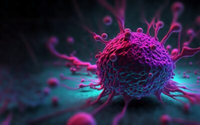 PNC-27 Peptide Interactions with Different Tumor Cell Lines