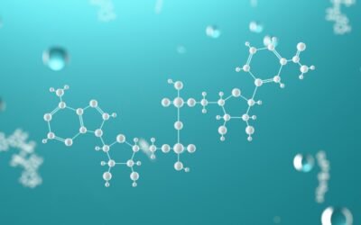T-31 Peptide Interactions with Cellular Aging, Renewal, and Stress Pathways